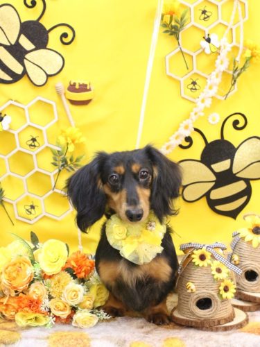 20250921カロくん