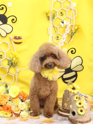 20250921ルアナちゃん