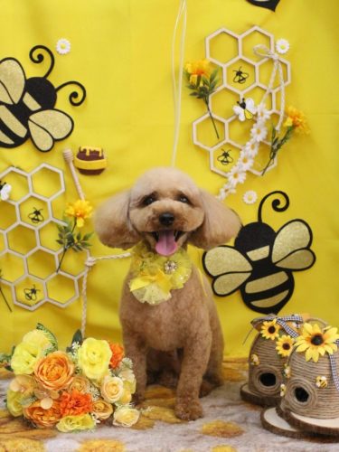 20250921シェリーくん