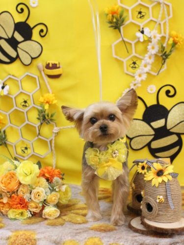 20250921メイちゃん