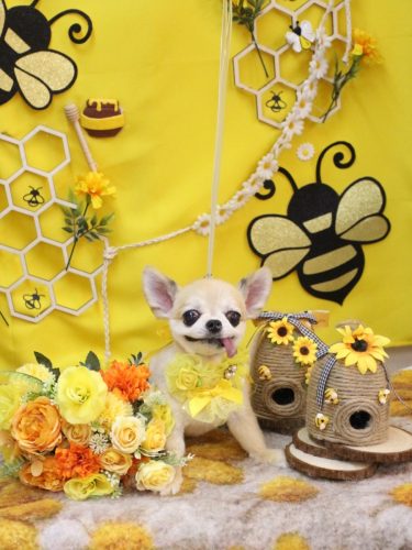 20250921momoちゃん