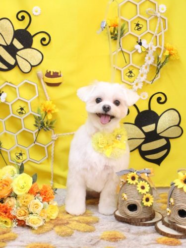 20250923うるちゃん