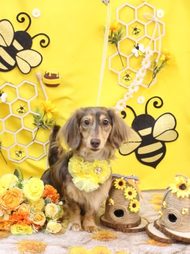 20250923エマちゃん