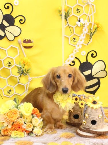 20250923レオくん