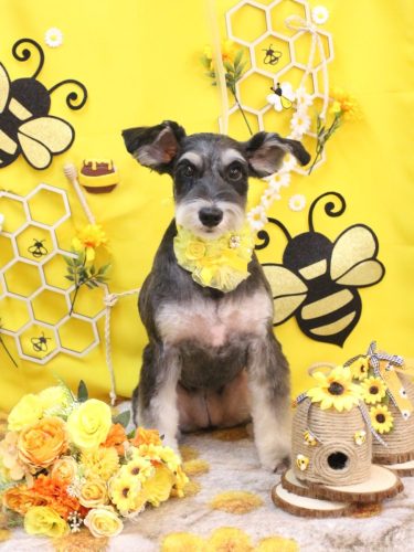 20250923音ちゃん