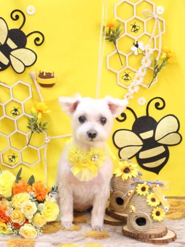 20250923ヒメちゃん