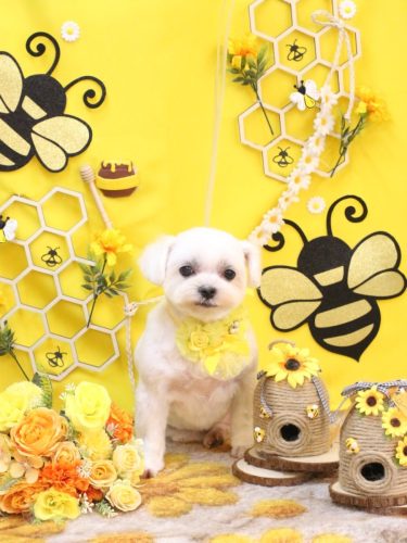 20250923マルちゃん