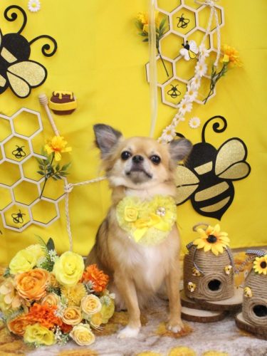 20250923れおくん