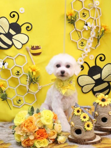 20250924ミルクくん