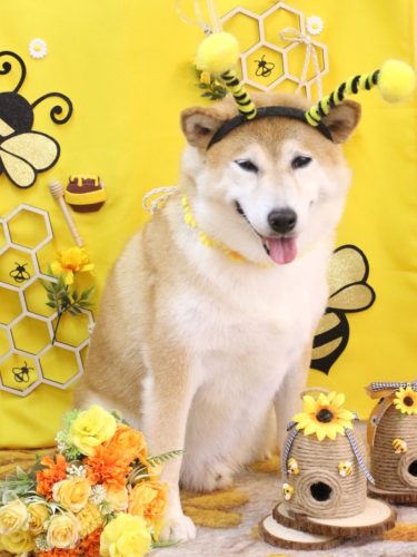 20250924平太くん