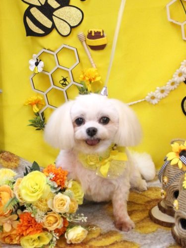 20250924サクラちゃん