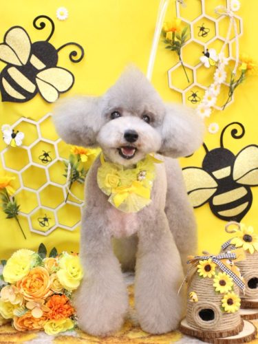 20250924宇宙くん