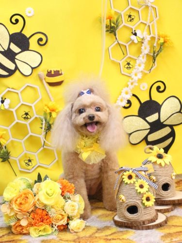 20250924麦ちゃん