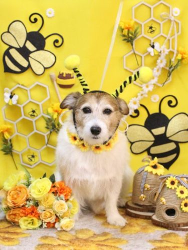 20250924こはるちゃん