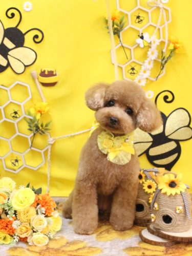 20250924ベルちゃん