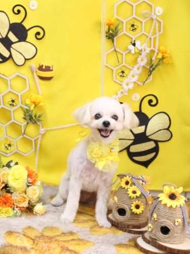 20250924小雪ちゃん