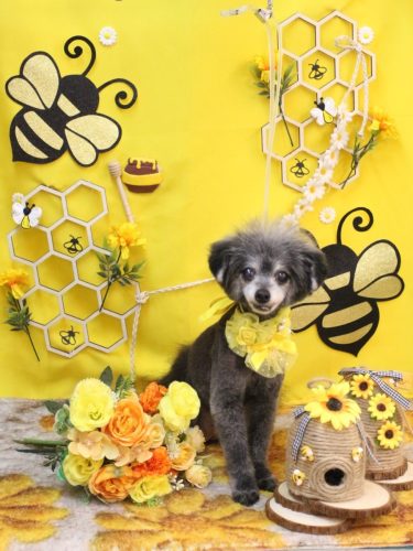 20250924ヒナちゃん