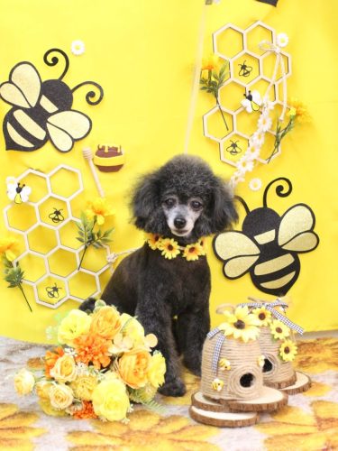 20250924ラムくん