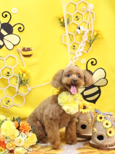 20250924永遠ちゃん