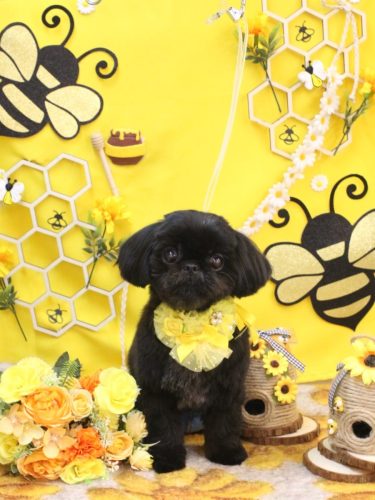 20250924つむぎちゃん