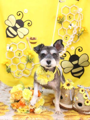 20250925クロムくん