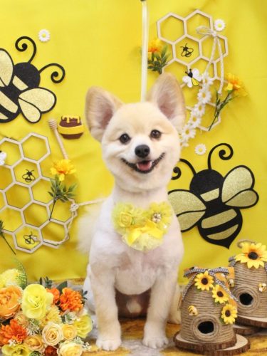 20250925ぽんずくん