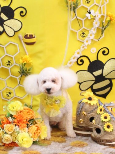 20250925あんちゃん