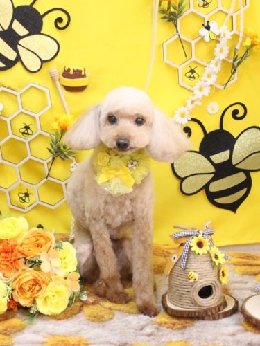 20250925うたちゃん