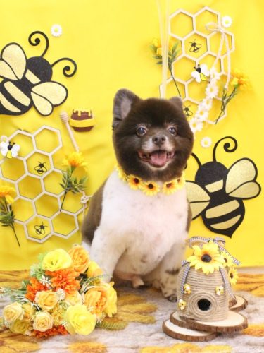 20250925太郎くん