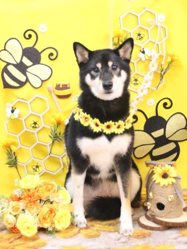 20250925サニーちゃん