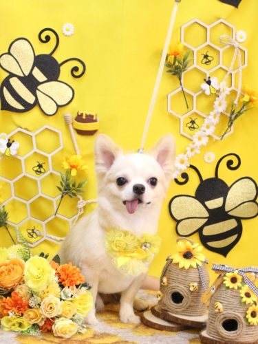 20250925ランくん