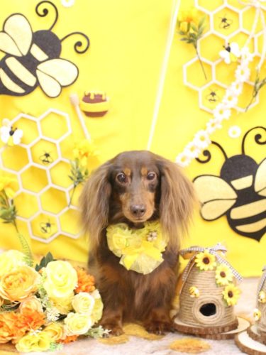 20250925ルナちゃん