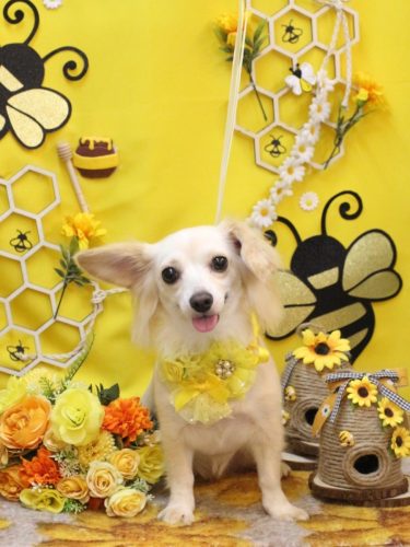 20250926めるちゃん