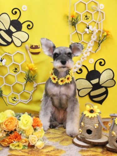 20250926むぎちゃん