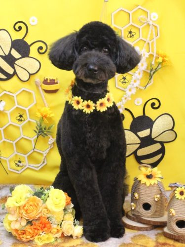 20250926アロくん