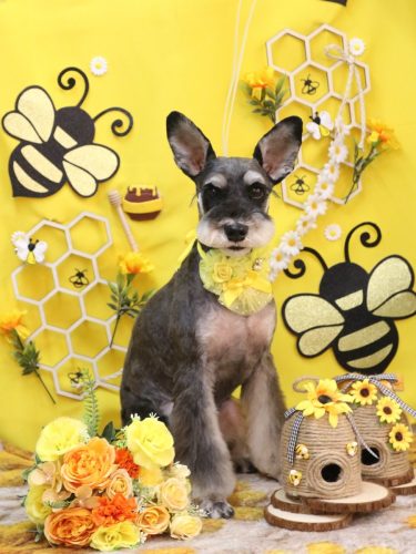 20250927ニーナちゃん