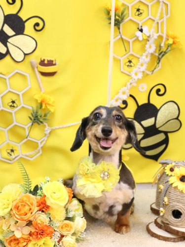 20250927ムギくん