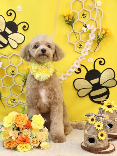 20250927レオくん