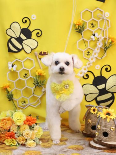 20250927うみちゃん