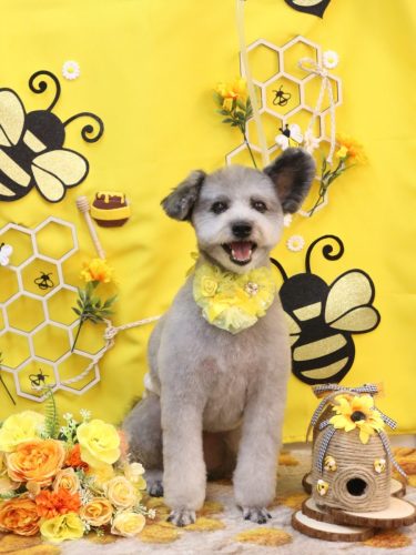 20250927シルヴァくん