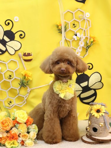 20250927くるるくん