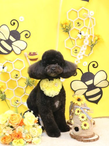 20250927コアくん