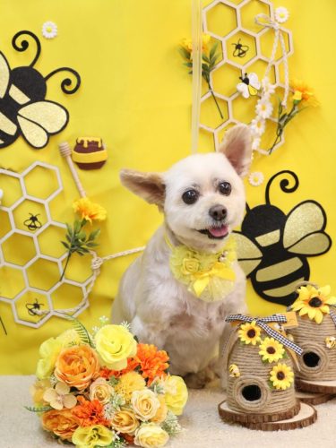 20250927ポンタくん