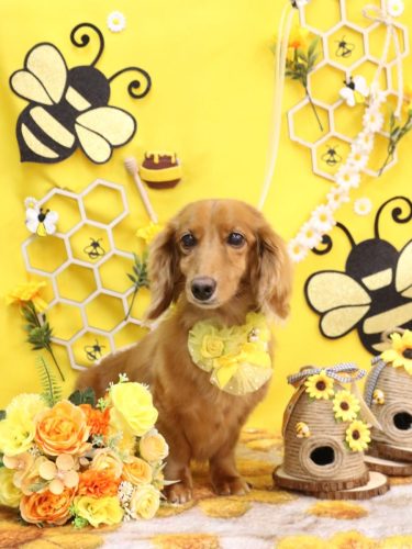 20250928しろくん