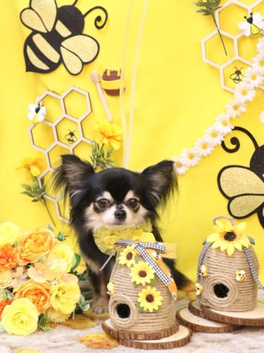 20250928アリューくん