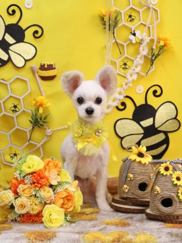 20250930まろくん