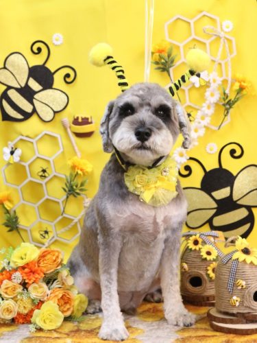 20250930ディアくん