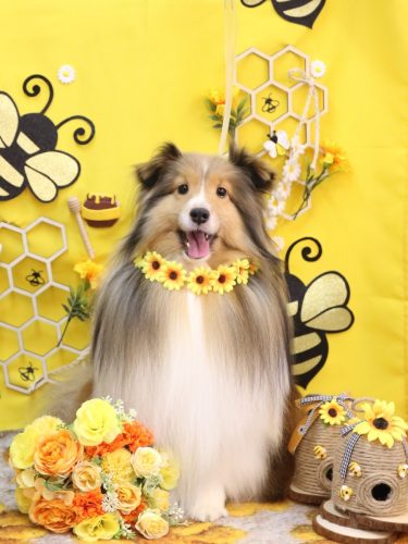 20250930ノアくん