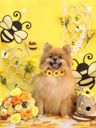 20250930ルルちゃん