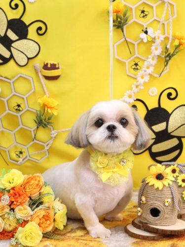 20250930カンタくん